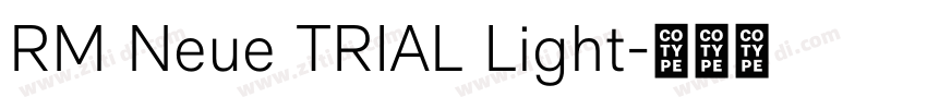 RM Neue TRIAL Light字体转换